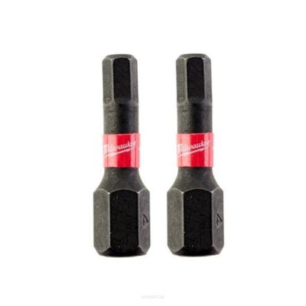 HEX 5mm BIT (2 SZT) 25mm