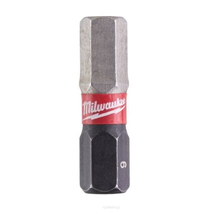 HEX 6mm BIT (2 SZT)